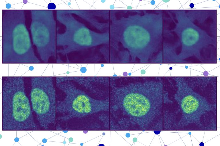 MIT-ProteinLocalization-01-press.jpg