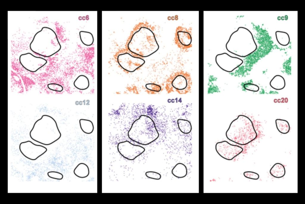mit-CellLENS-tool.jpg