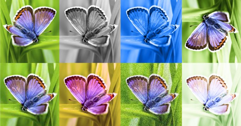 wUgtK2GBt2yZJ3dJkXtvAK84G93j6idOOalyihOMfwBxY0lR650fZZYIi3bXdgkKbBcitbUZ0ILbaIPg_-vDTgAJLlP1DO3h_UnyoZ27wl3mYSzKtww1200-h630-n-nu.jpeg